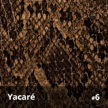 Yacaré 68